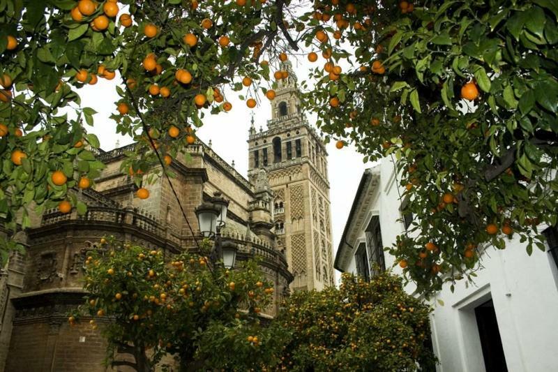 Pension La Montorena Севилья Экстерьер фото